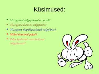 Eesti metsades elavad loomad-- Valgejänes #9