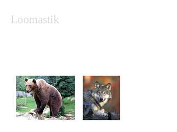 Okasmets #7