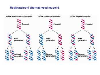 DNA replikatsioon #2