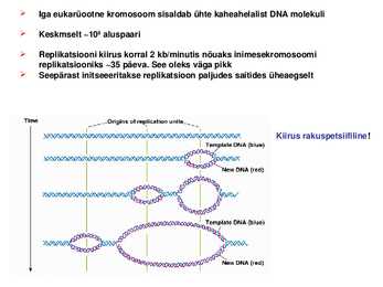 DNA replikatsioon #22