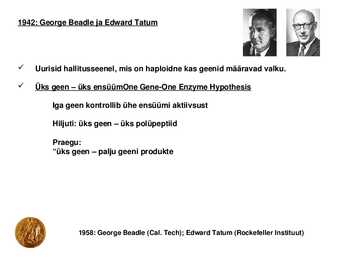 Valgu sünteesi geneetiline kontroll #2