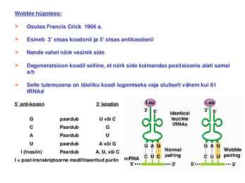 Geeni ekspressioon-translatsioon ja geneetiline kood #19