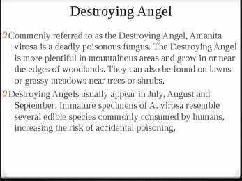 Destroying Angel #2