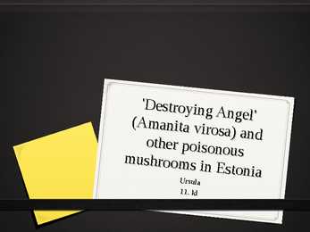 Destroying Angel