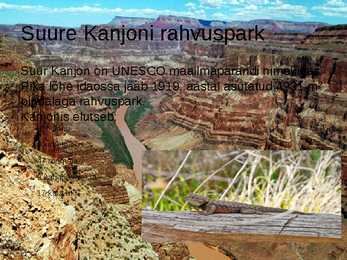 Suur Kanjon #11