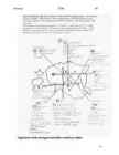 Bioloogia-Loeng 1 #14