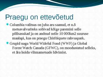 Amazonas e jõgikond vihmametsade hävimine #12