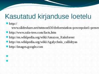 Amazonas e jõgikond vihmametsade hävimine #13