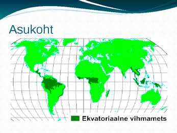 Amazonas e jõgikond vihmametsade hävimine #3