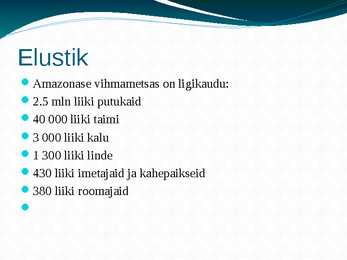 Amazonas e jõgikond vihmametsade hävimine #4