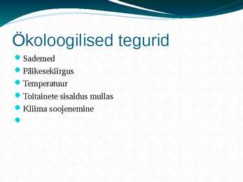 Amazonas e jõgikond vihmametsade hävimine #5