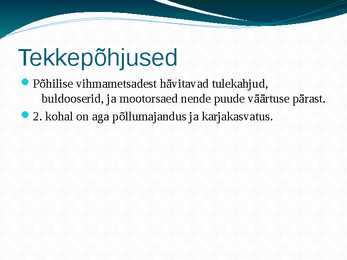 Amazonas e jõgikond vihmametsade hävimine #9