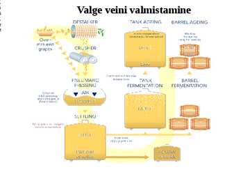 Veini koolitus #25