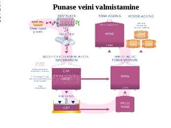 Veini koolitus #26