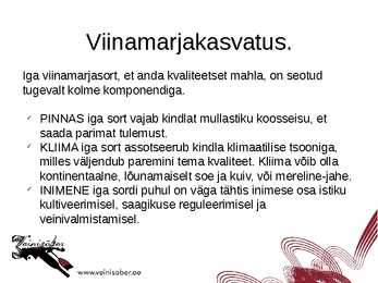 Veini koolitus #8