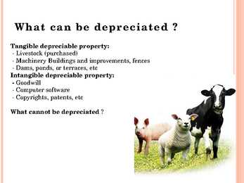 Depreciation #3