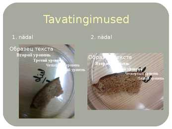 Hallitusseened #3