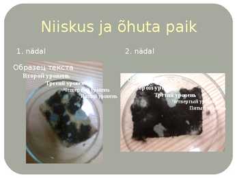 Hallitusseened #4