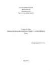 Intellektuaalse kapitali väärtus ettevõttele