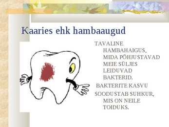 Meie hambad #5