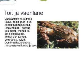 Hiina villkäppkrabi #12