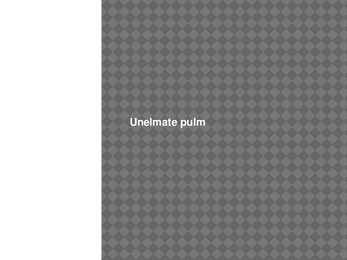 Pulma stsenaarium