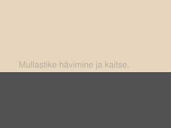 Mullastike hävinemine ja kaitse