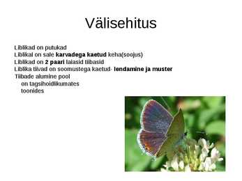 Liblikad #2