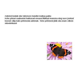 Liblikad #13