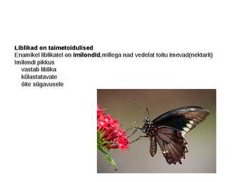 Liblikad #3
