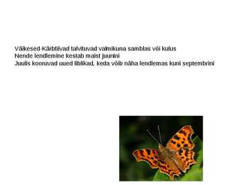 Liblikad #10