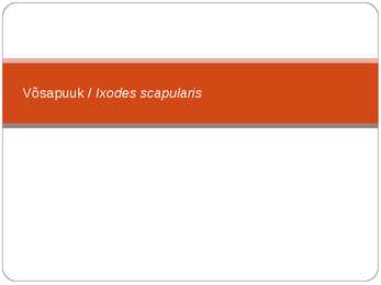 Võsapuuk ja Sametlest #2