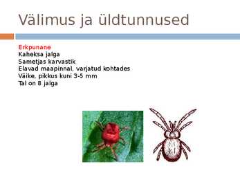 Võsapuuk ja Sametlest #14