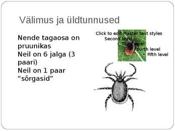 Võsapuuk ja Sametlest #4