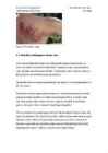 Nahahaigused #18