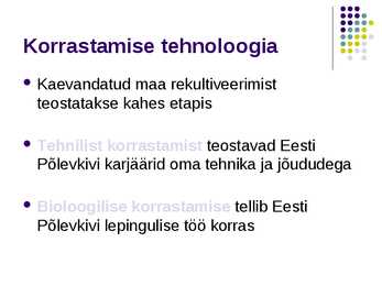 Põlevkivi #16