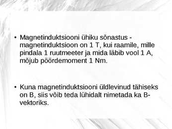 Magnetismi esitlus #10