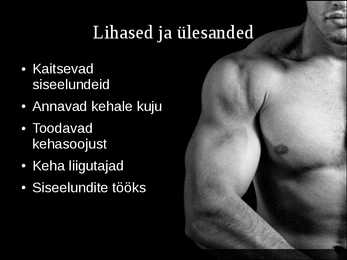 Tugielundkond - lihased powerpoint #13