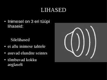 Tugielundkond - lihased powerpoint #15