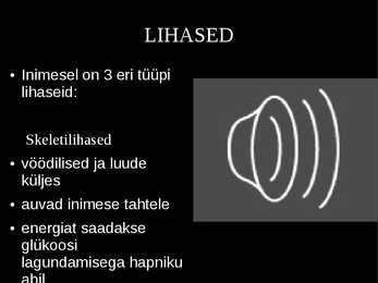 Tugielundkond - lihased powerpoint #16