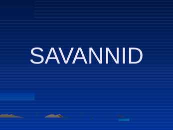 Savannid