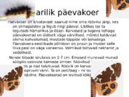Liblikad-nende levik ja liigid #12
