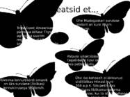Liblikad-nende levik ja liigid #13