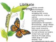 Liblikad-nende levik ja liigid #5