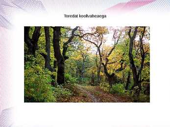 laen ja intress #12