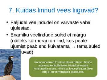 Loomade kohastumused eluks vees #17