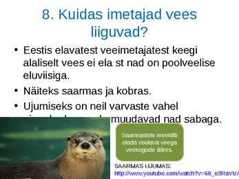 Loomade kohastumused eluks vees #18