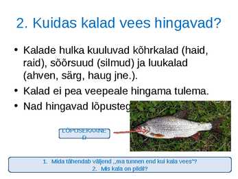 Loomade kohastumused eluks vees #4