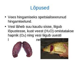 Loomade kohastumused eluks vees #5