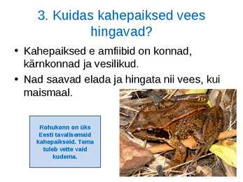 Loomade kohastumused eluks vees #7